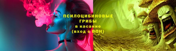 тгк Бородино