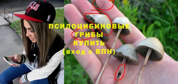 мет Богородицк
