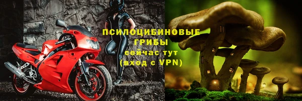тгк Бородино