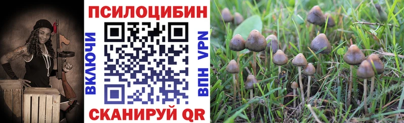 Галлюциногенные грибы Magic Shrooms  что такое наркотик  Белая Калитва 
